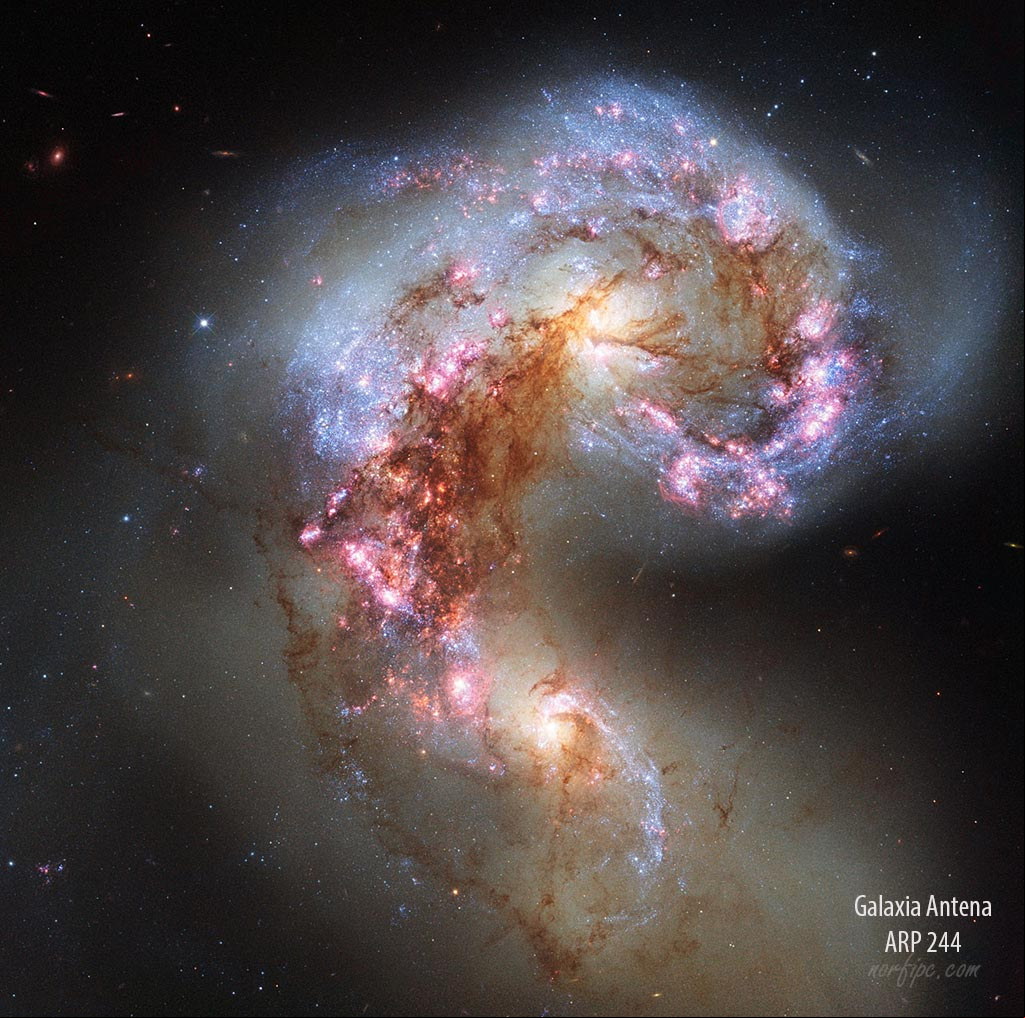 Fotografía de la Galaxia de la Antena, clasificada en el Atlas de Galaxias Peculiares como ARP 244. #Galaxias Fotografía de la Galaxia de la Antena (Arp 244)