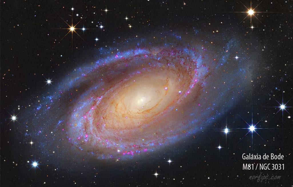 Fotografía de la Galaxia de Bode, también conocida como M81 (Messier 81) y clasificada como NGC 3031. #Galaxias Fotografía de la Galaxia de Bode