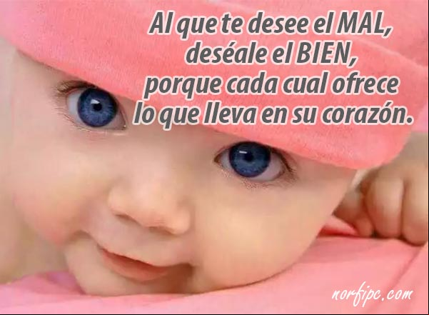 Al que te desee el mal, solo deséale el bien, porque cada cual ofrece lo que lleva en su corazón. #Generosidad Desea solo el bien