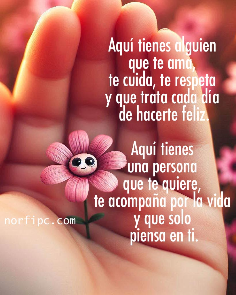 Aquí tienes alguien que te ama, te cuida, te respeta y que trata cada día de hacerte feliz. Aquí tienes una persona que te quiere, te acompaña por la vida y que solo piensa en ti Mano con una flor pequeña y linda