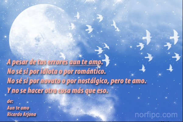 Aun te amo, no sé si por idiota o por romántico, pero te amo Imagen para quien se extraña: A pesar de tus errores aun te amo