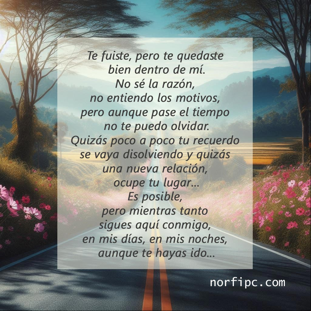 Te quedaste bien dentro de mí, poema Carretera que se pierde en la distancia