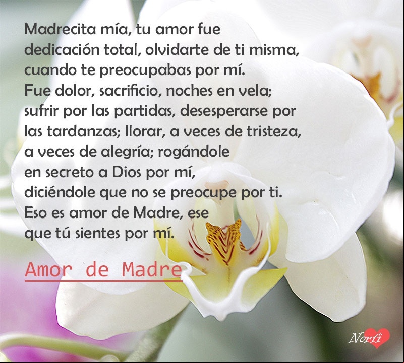 Carta a mi Madre para agradecerle por tanto amor Carta a mi Madre para agradecerle por tanto amor