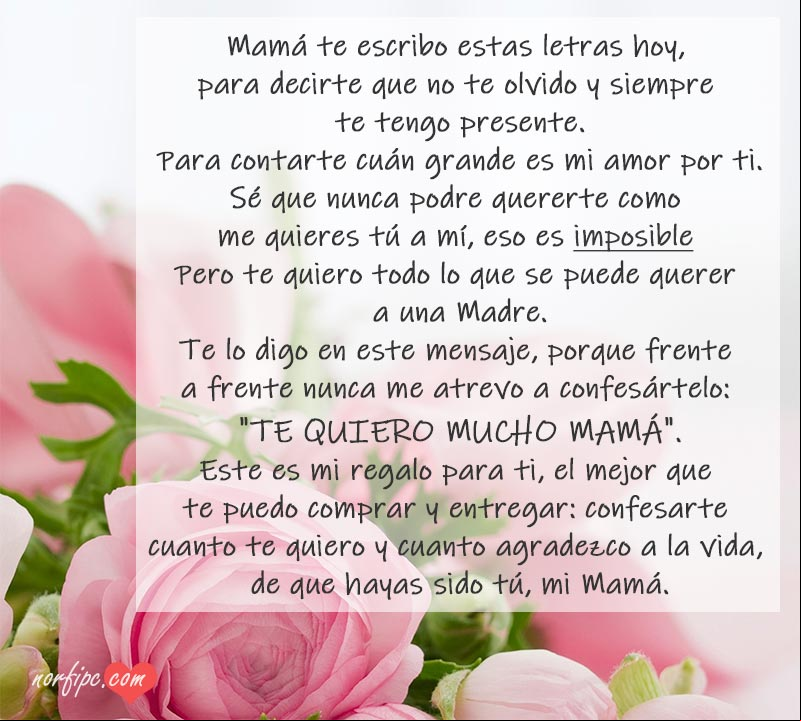 Carta de amor para mi Madre, poema para confesarle cuanto le quiero Carta de amor para mi Madre, poema para confesarle cuanto le quiero