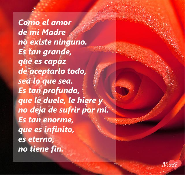 Como el amor de mi Madre, ninguno Como el amor de mi Madre, ninguno