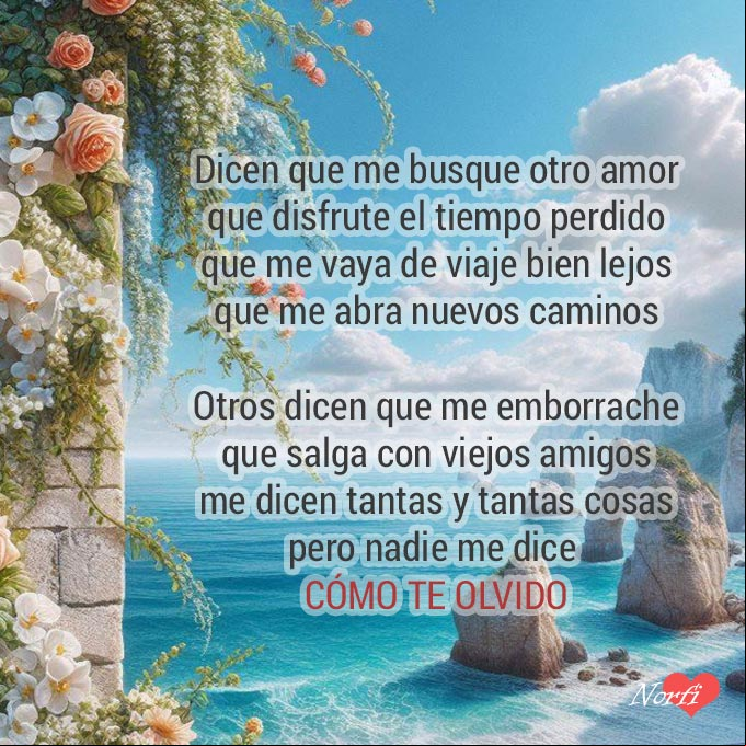 Como te olvido, poema Muro de piedra con flores, fondo mar azul