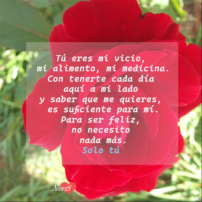 Me siento feliz contigo amor, poema Flor de las diez roja