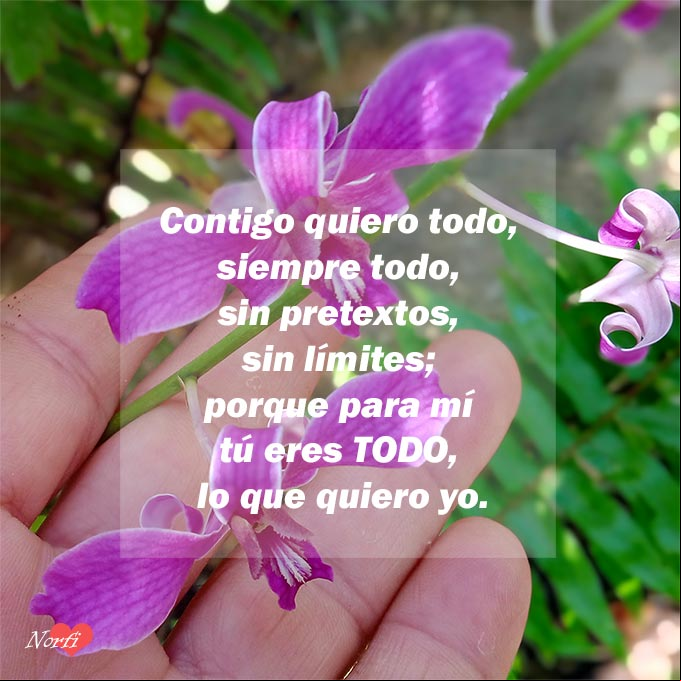 Contigo quiero todo, siempre todo, sin pretextos, sin límites; porque para mí tú eres todo, lo que quiero yo Contigo quiero todo, siempre todo
