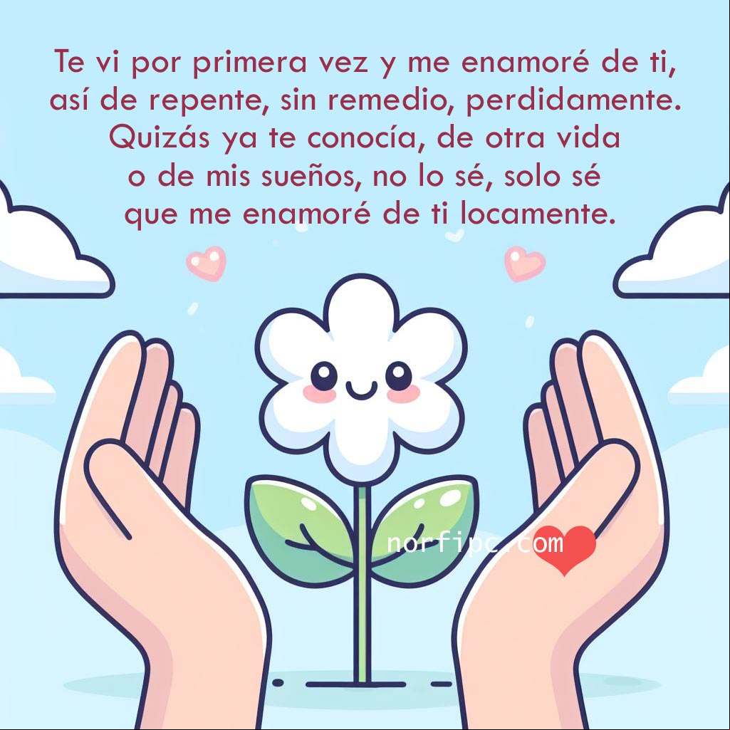 Te vi por primera vez y me enamoré de ti, así de repente, sin remedio, perdidamente. Quizás ya te conocía, de otra vida o de mis sueños, no lo sé, solo sé que me enamoré de ti locamente Flor entre dos manos, ilustración