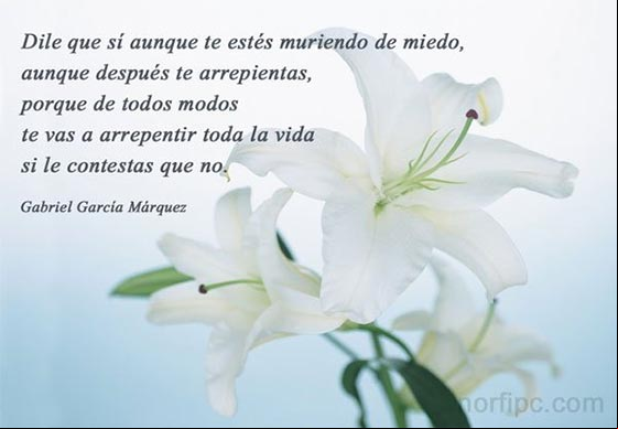 Dile que sí aunque te estés muriendo de miedo... #VersosAmor Imagen con un verso de amor para el día del amor de Gabriel García Márquez