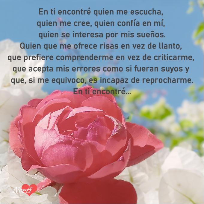 En ti encontré quien me escucha, quien me cree, quien confía en mí, quien se interesa por mis sueños. Por todas esas cosas, te quiero tanto Rosa roja con fondo de flores blancas, cielo azul y un poema con las cosas que en ti encontré