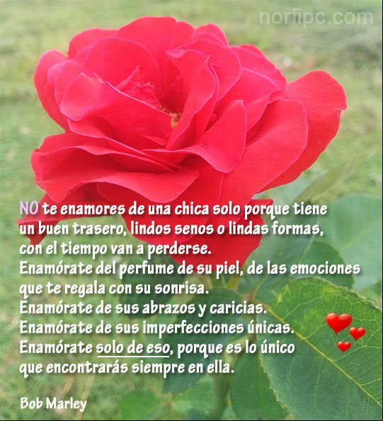 Enamórate solo de lo que siempre encontrarás en una chica Poema de Bob Marley para meditar cuando nos enamoramos