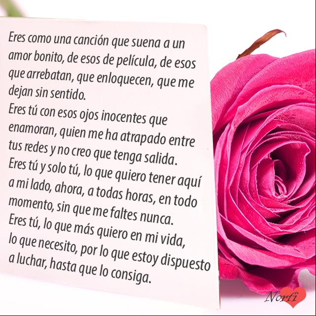 Eres tú, lo que más quiero en mi vida, lo que necesito, por lo que estoy dispuesto a luchar, hasta que lo consiga Eres tú lo que más quiero en mi vida