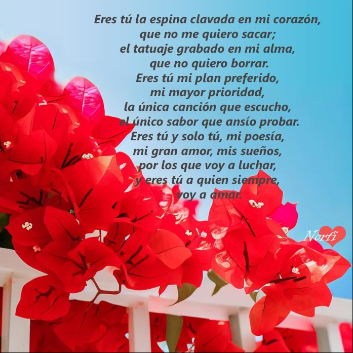 Eres tu mi gran amor y mi felicidad Flores de Bugambila roja sobre reja blanca, fondo cielo azul