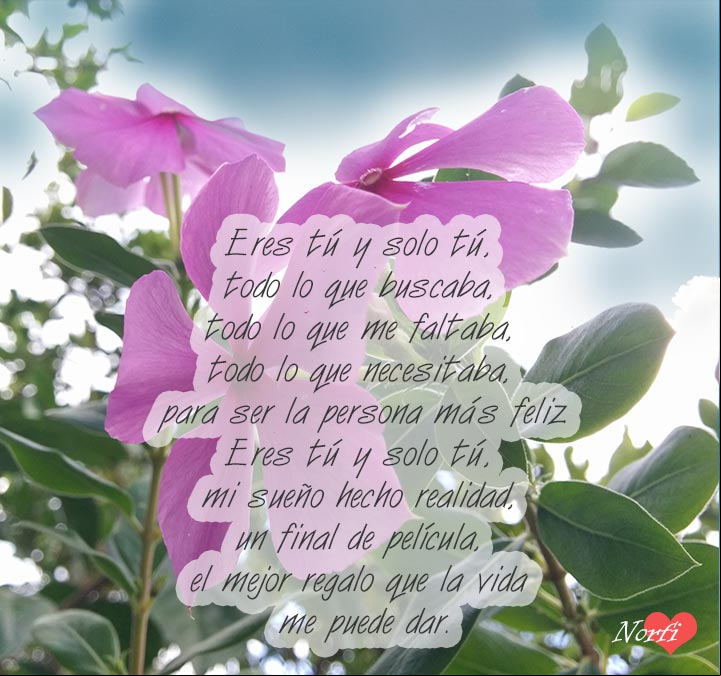 Eres tú y solo tú, el mejor regalo que la vida me puede dar Eres tú y solo tú, el mejor regalo que la vida me puede dar