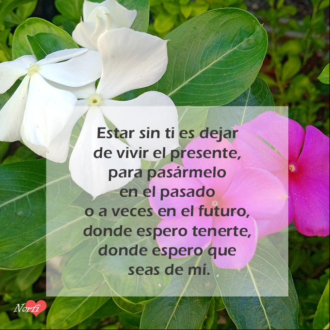 Estar sin ti es olvidarme de todo y de todos Estar sin ti es olvidarme de todo y de todos