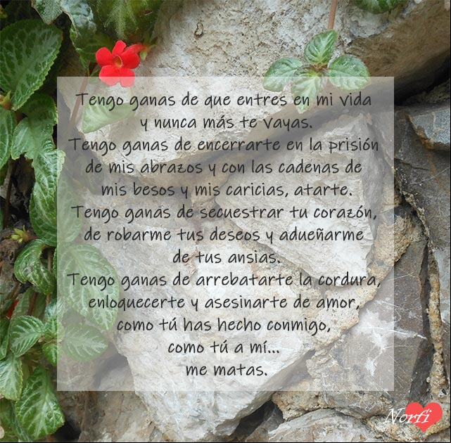 Quiero hacerte el amor, poema Ganas de asesinarte de amor