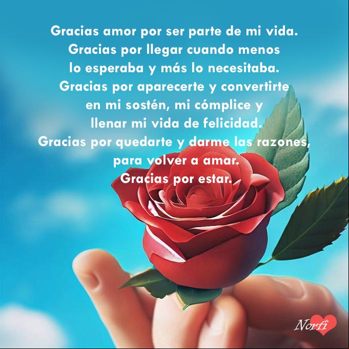 Poema gracias por aparecer en mi vida Rosa roja en una mano