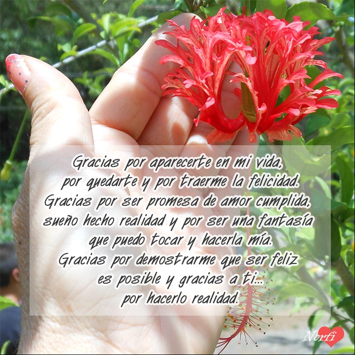 Gracias amor por llegar a mi vida Gracias por aparecerte y quedarte en mi vida