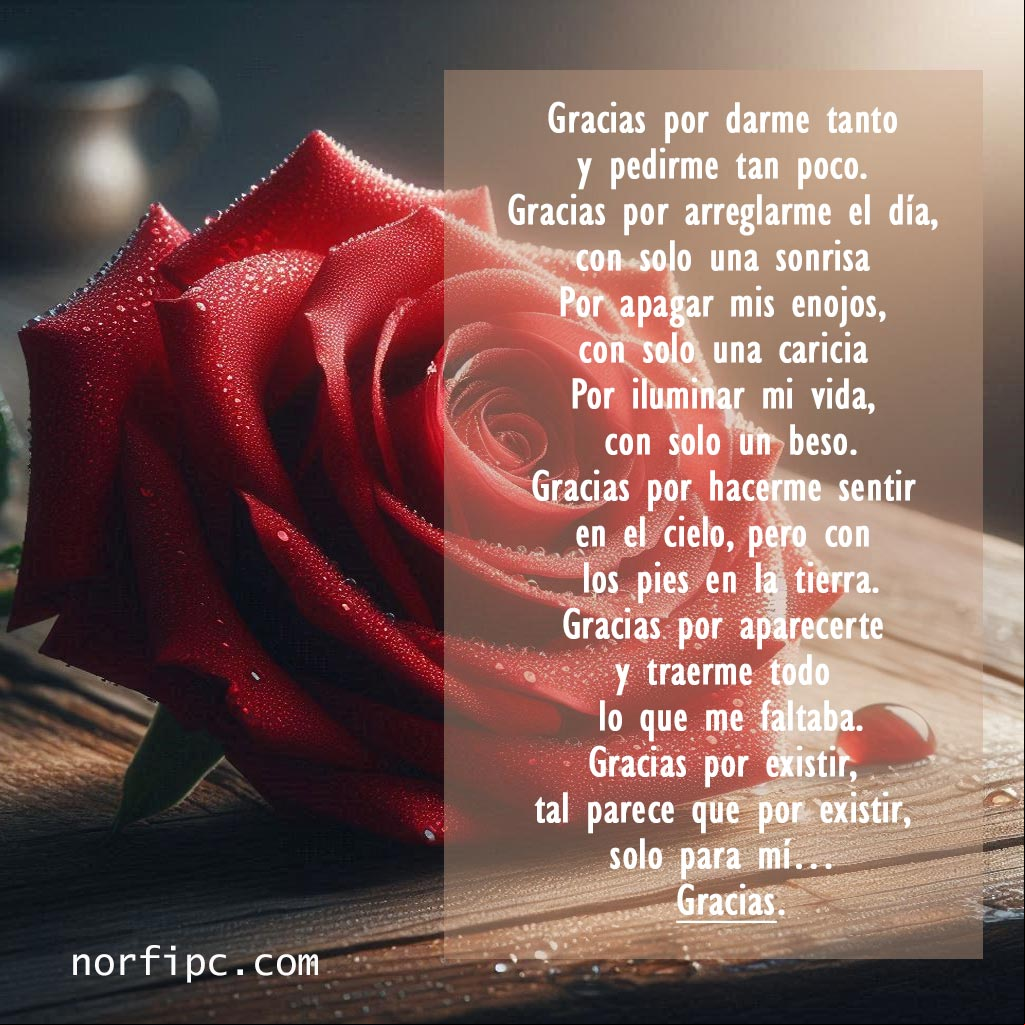 Gracias por existir y por hacerme tan feliz a tu lado Gracias por existir y por hacerme tan feliz a tu lado
