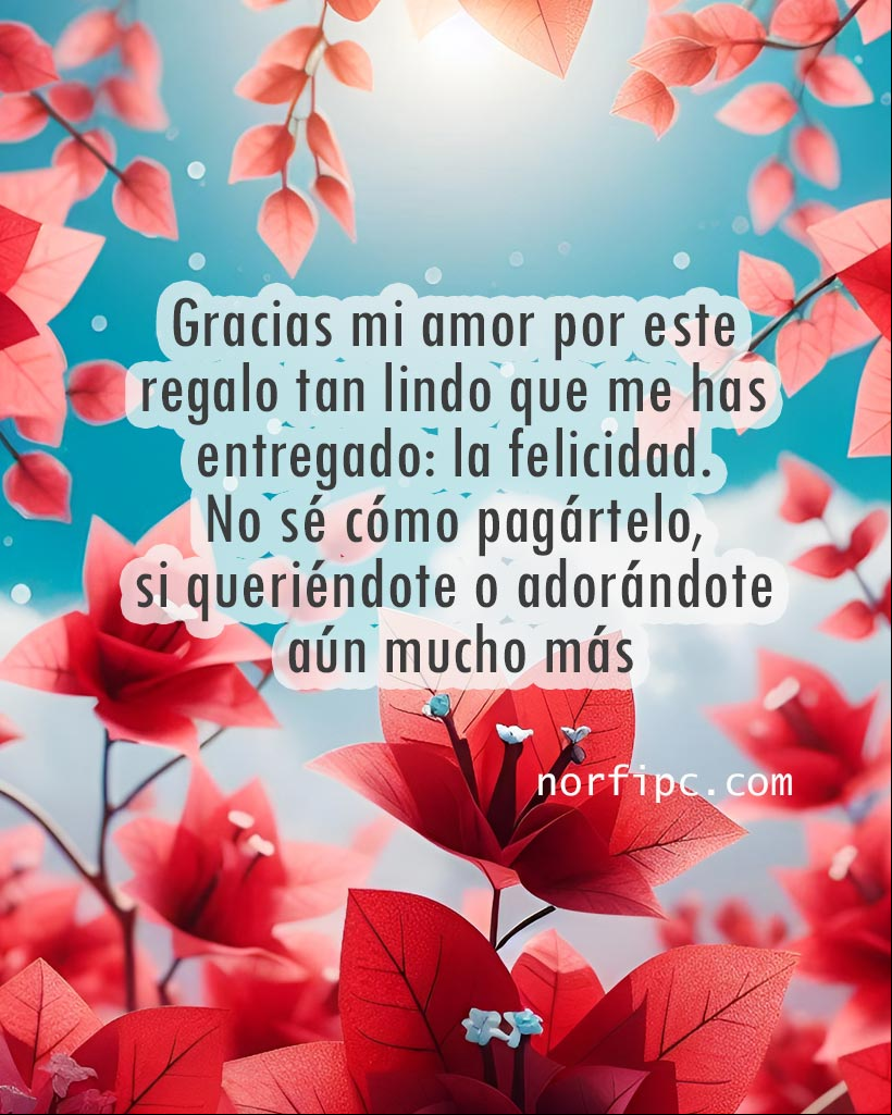 Gracias mi amor por este regalo tan lindo que me has entregado: la felicidad. No sé cómo pagártelo, si queriéndote o adorándote aún mucho más. Flores de Bugambila o Rosa de papel roja