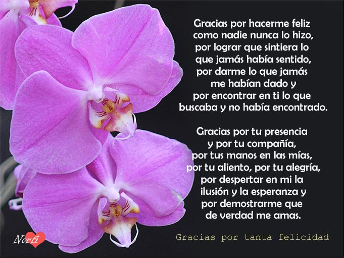 Gracias por tanta felicidad Gracias por tanta felicidad