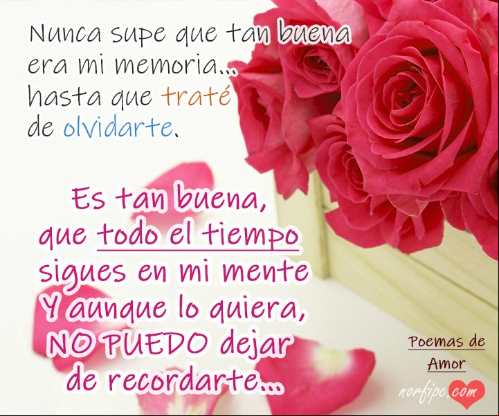 Olvidarte es imposible, poema para un amor inolvidable