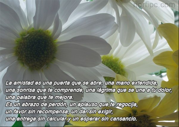 La amistad, un favor sin recompensa, poema de Rosa Isabel Poesía sobre la belleza y el valor de la amistad