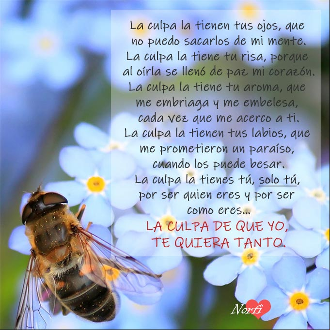 Solo tú tienes la culpa, de que yo te quiera tanto Solo tú tienes la culpa, de que yo te quiera tanto