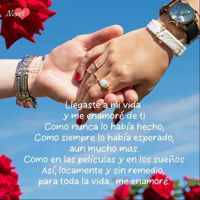 Llegaste a mi vida y me enamoré de ti, como nunca. #Poema para un nuevo amor inesperado Manos de un hombre y una mujer entrelazadas, detrás rosas y cielo azul