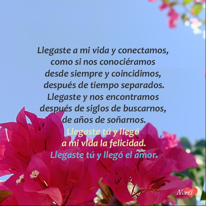 Llegaste a mi vida y conectamos, como si nos conociéramos desde siempre y coincidimos, después de tiempo separados. Llegaste tú y llegó la felicidad Poema de amor: Llegaste tú a mi vida y llegó la felicidad