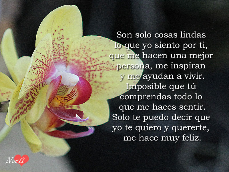 Son solo cosas lindas lo que yo siento por ti, que me hacen una mejor persona, me inspiran y me ayudan a vivir Poema para decirte lo que yo siento por ti