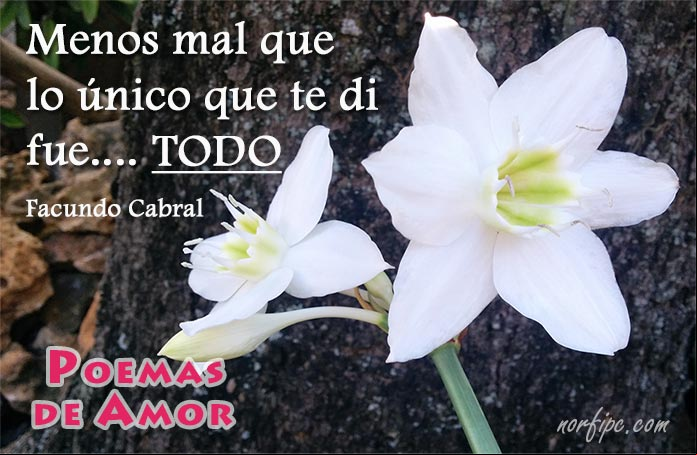 Versos de un amor leal, desinteresado, sincero y profundo