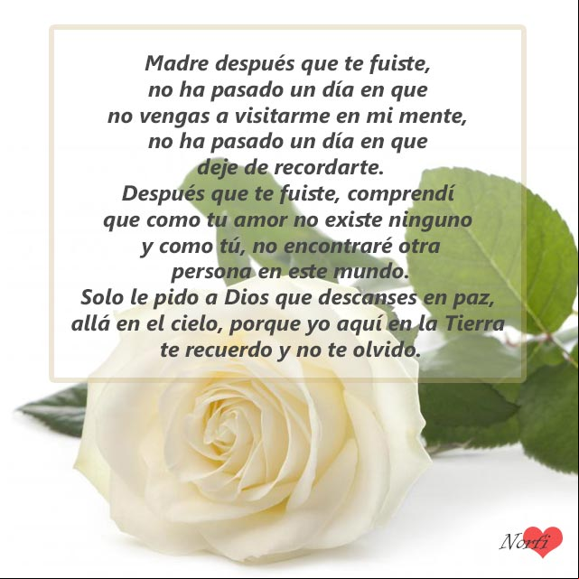 Después que te fuiste, comprendí que como tu amor no existe ninguno y como tú, no encontraré otra persona en este mundo, que me quiera igual Después que te fuiste, comprendí que como tu amor no existe ninguno y como tú, no encontraré otra persona en este mundo, que me quiera igual