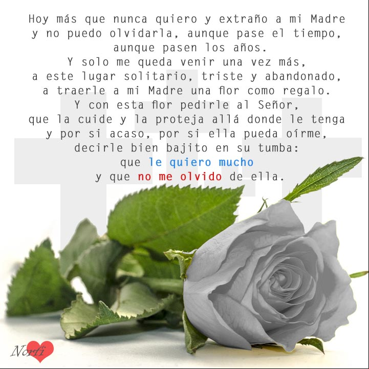 Madre te quiero y nunca te olvido. Versos para dedicar a mi Madre muerta Madre te quiero y nunca te olvido
