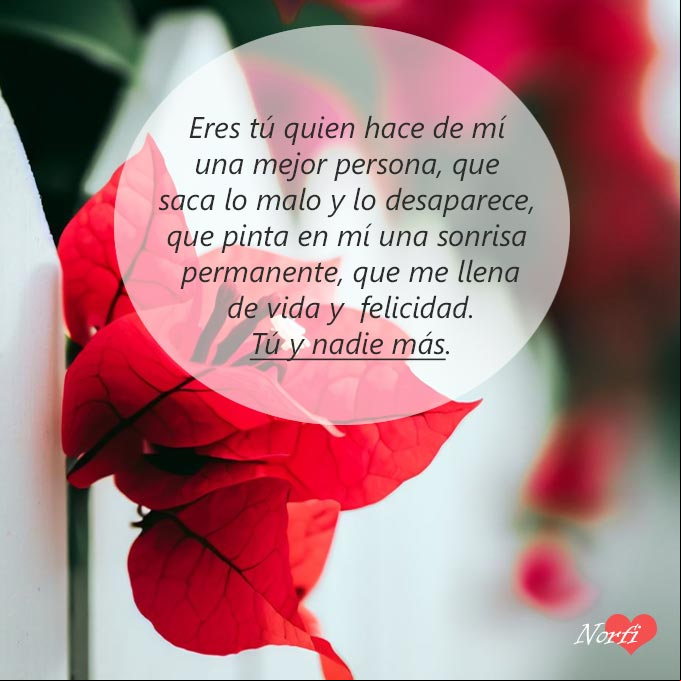 Eres tú quien hace de mí una mejor persona, que saca lo malo y lo desaparece, que me pinta una sonrisa permanente, que me llena de vida y felicidad. Tu y nadie más Flor bugambila roja sobre una reja blanca