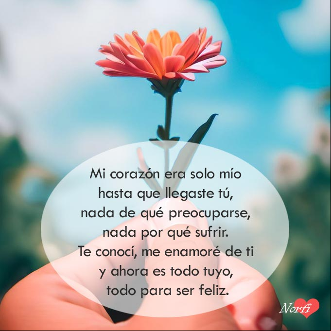 Mi corazón era solo mío hasta que llegaste tú, nada de qué preocuparse, nada por qué sufrir. Te conocí, me enamoré de ti y ahora es todo tuyo, todo para ser feliz. Mano sosteniendo una flor