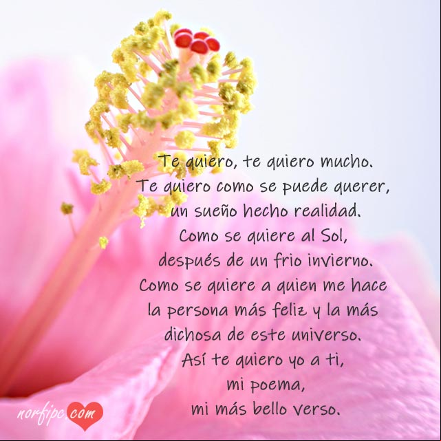 El más bello poema de amor Eres tú, mi más bello verso de amor