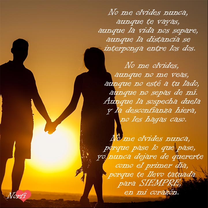 No me olvides nunca, porque yo te llevo para siempre en mi corazón No me olvides nunca, porque yo te llevo para siempre en mi corazón