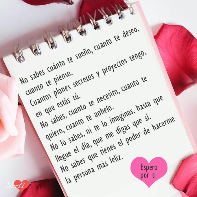 No sabes, ni te imaginas cuanto te quiero. No sabes que tienes el poder de hacerme la persona más feliz. Yo, espero por ti Bloc de notas con petalos de rosas y una carta de amor