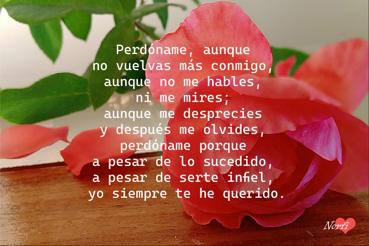 Perdóname, aunque no vuelvas más conmigo, aunque no me hables, ni me mires; aunque me desprecies y después me olvides, perdóname porque a pesar de lo sucedido, a pesar de serte infiel, yo siempre te he querido Poema para pedir perdón después de ser infiel