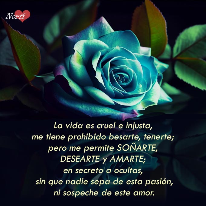Poema para mi amor prohibido Rosa azul con reflejo sobre mesa de cristal