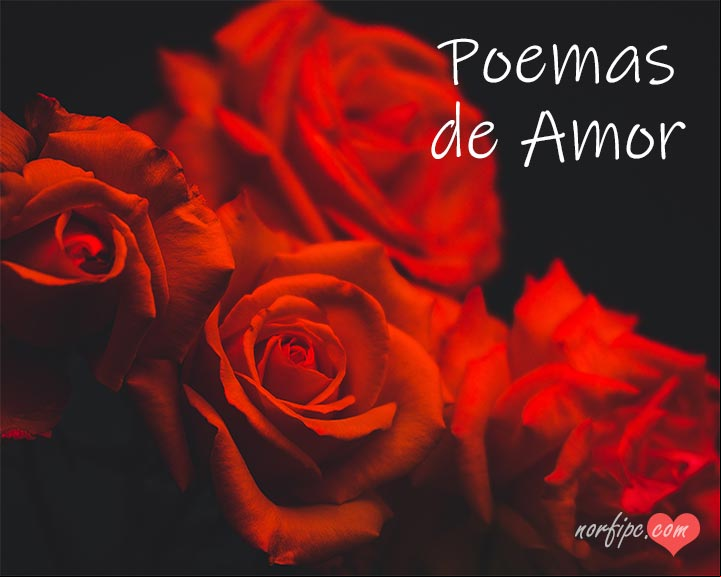 Poemas y versos de amor románticos y apasionados, para leer, compartir y dedicar Poemas y versos de amor románticos y apasionados, para leer, compartir y dedicar