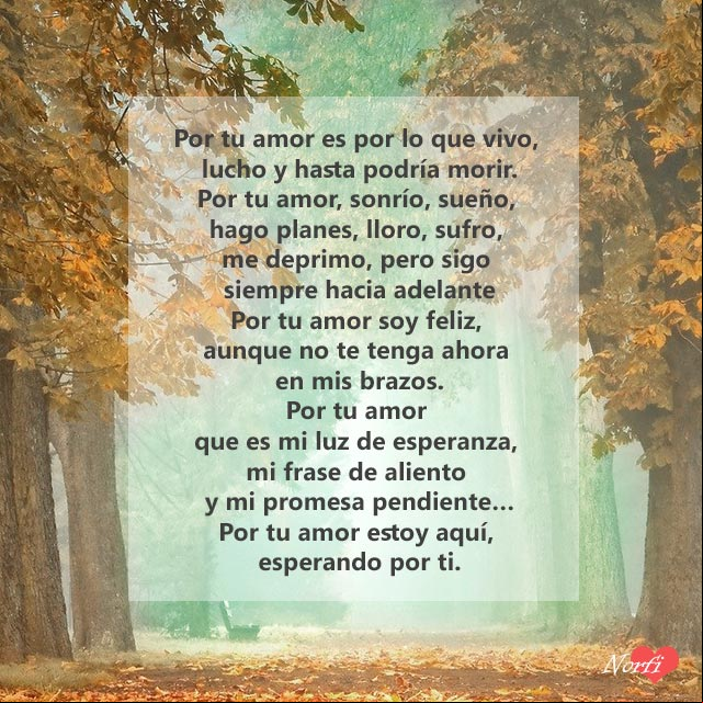 Por tu amor estoy aquí, esperando por ti Por tu amor estoy aquí, esperando por ti