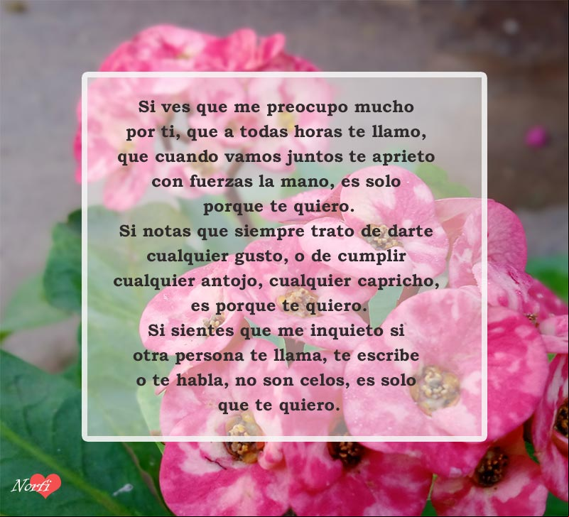 Porque te quiero. Poema para un amor que no puedo dejar de querer, con todas mis fuerzas Porque te quiero. Poema para un amor que no puedo dejar de querer