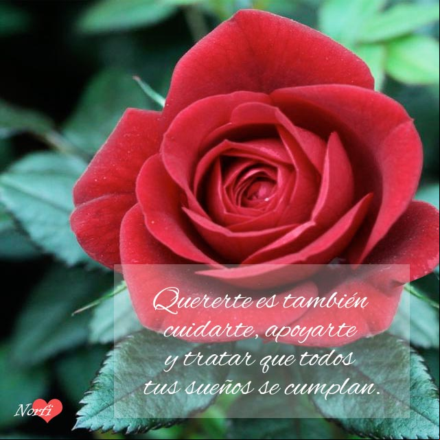 Quererte es también cuidarte, apoyarte y tratar que todos tus sueños se cumplan Quererte es también cuidarte, apoyarte y tratar que todos tus sueños se cumplan