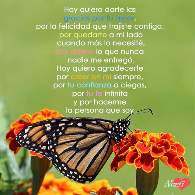 Hoy quiero darte las gracias por tu amor Hoy quiero darte las gracias por tu amor