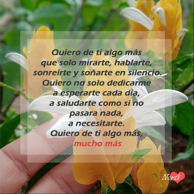 Quiero de ti algo más, poema Quiero de ti algo más que solo mirarte, hablarte, sonreírte y soñarte en silencio. Quiero de ti algo más, mucho más