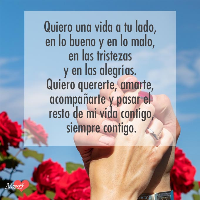 Quiero una vida a tu lado, en lo bueno y en lo malo, en las tristezas y en las alegrías. Quiero quererte, amarte, acompañarte y pasar el resto de mi vida contigo, siempre contigo Manos de una pareja con dedos entrelazados