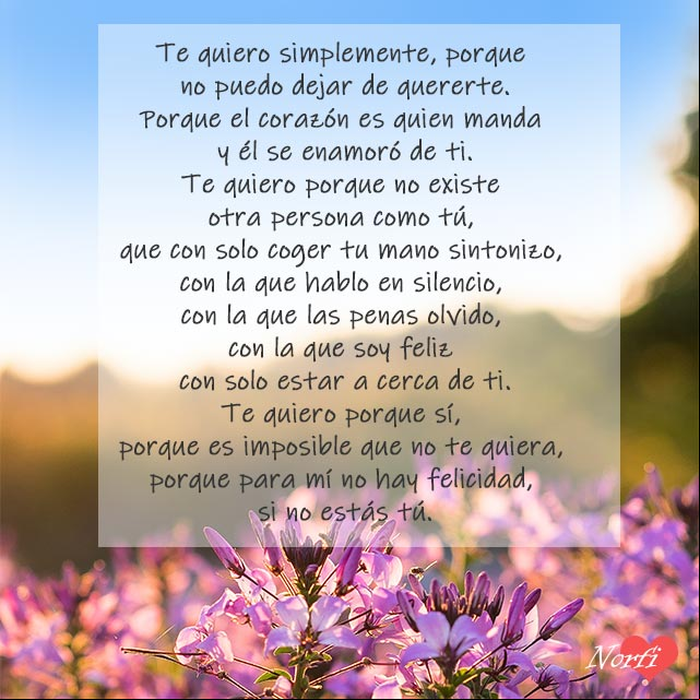 A pesar de todo te quiero mucho, poema Te quiero porque no hay felicidad en mi vida, si no estás tú